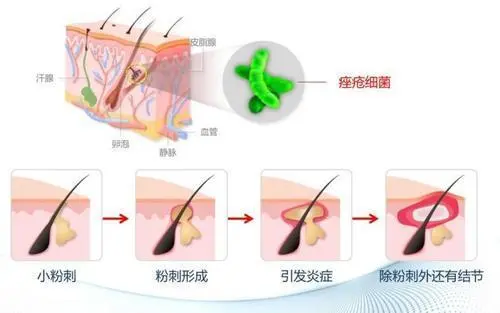 不缺锌可以补锌吗