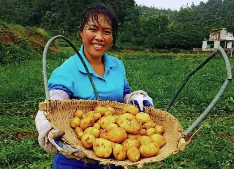 中国富硒农产品专区