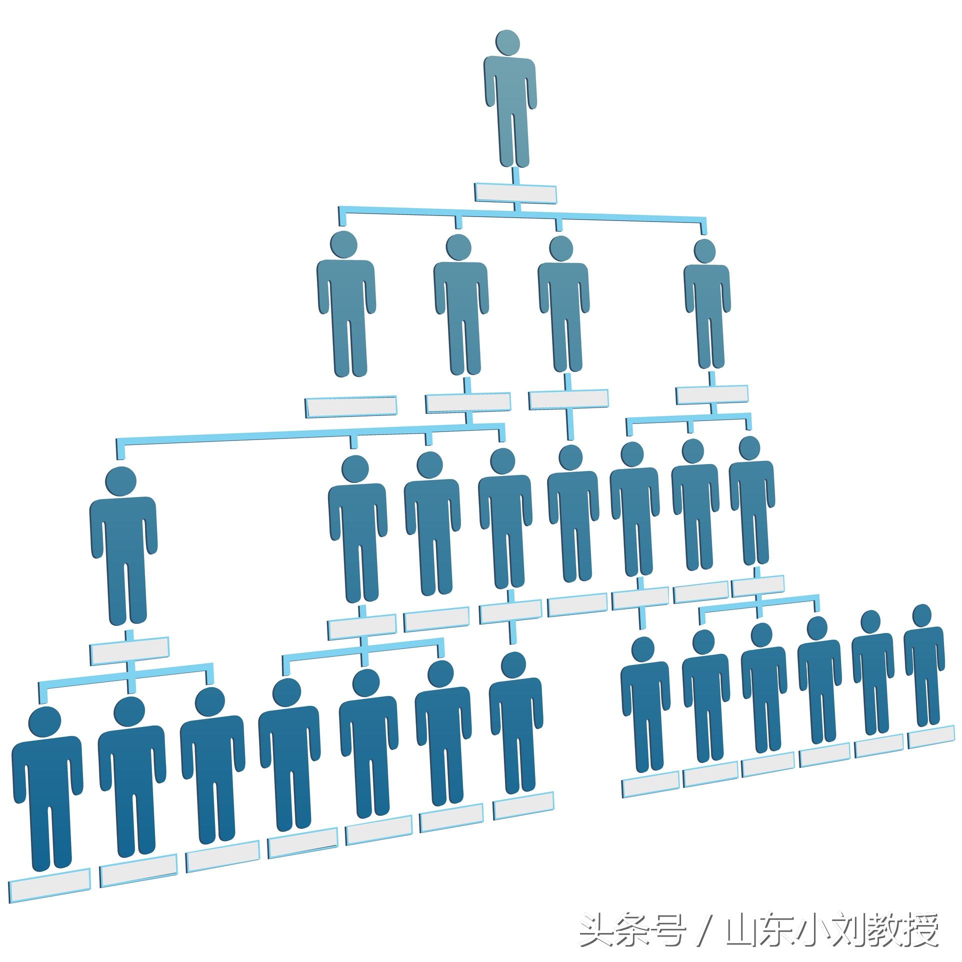 权健产品钙锌硒胶囊