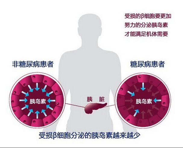 硒维康每片含硒多少