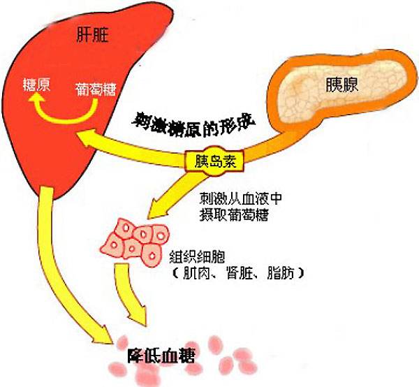 硒维康每片含硒多少