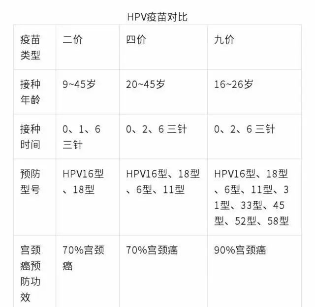 硒维康和硒酵母区别