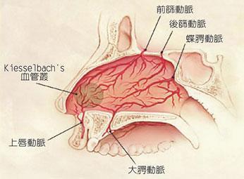 没化疗能吃硒维康片