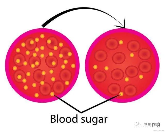 微量元素要空腹吗