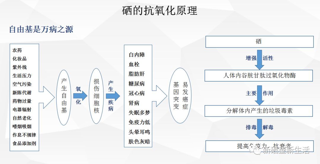 硒维康肝癌可以吃吗