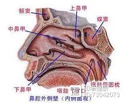 硒维康的作用和功效