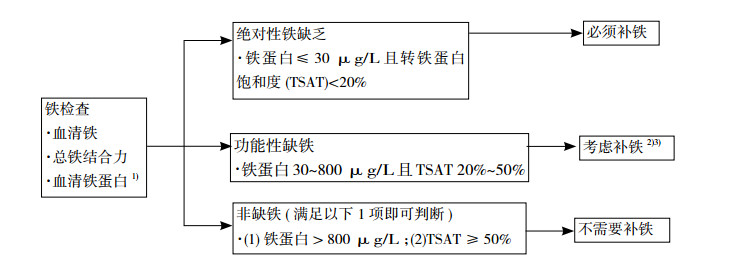 补铁的药