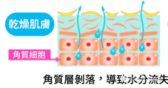 宝宝吃锌硒宝起疹子