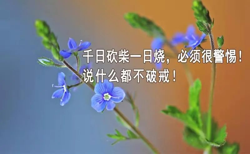 提高精子活力锌硒宝