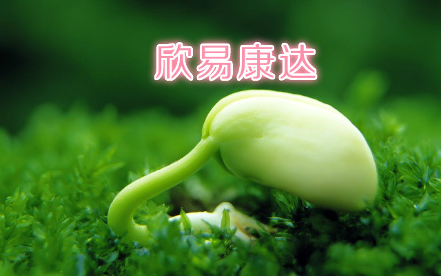 提高精子活力锌硒宝