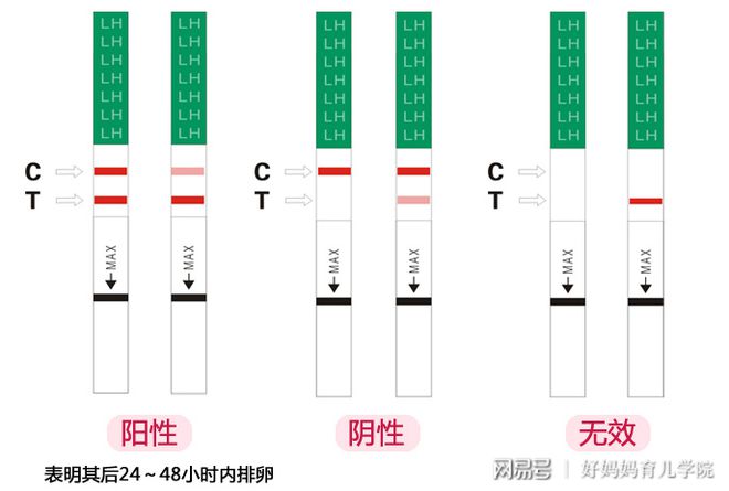 刚怀孕能吃锌硒宝吗