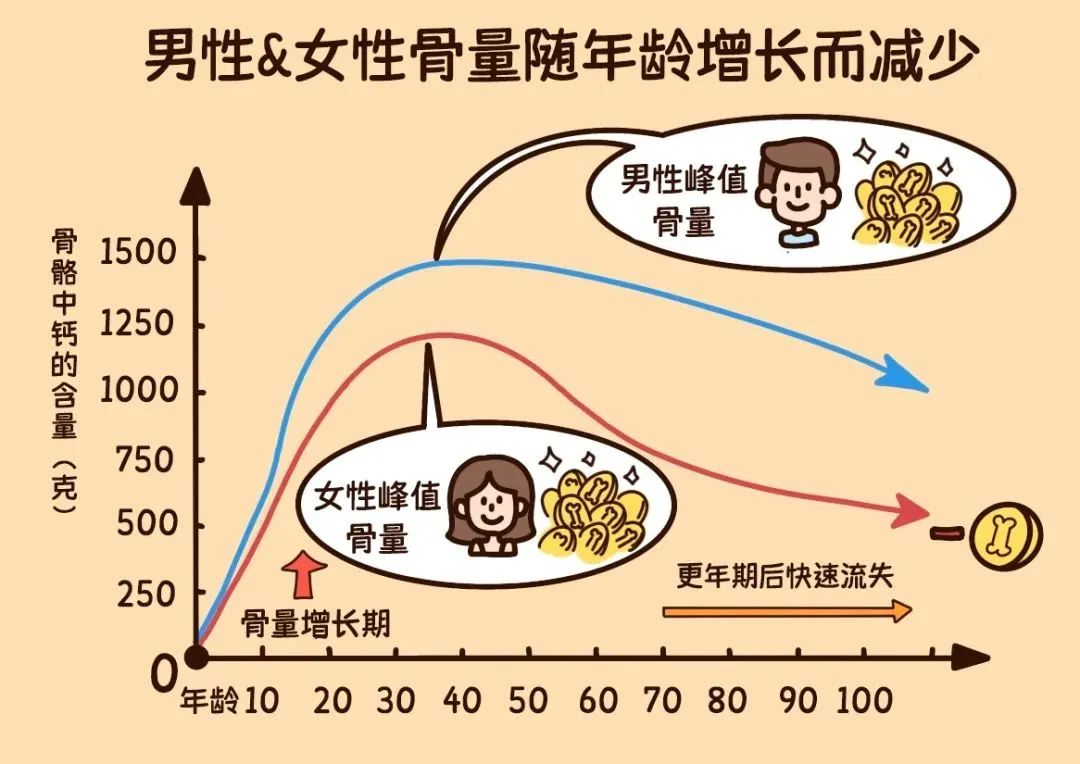 青少年怎么补钙