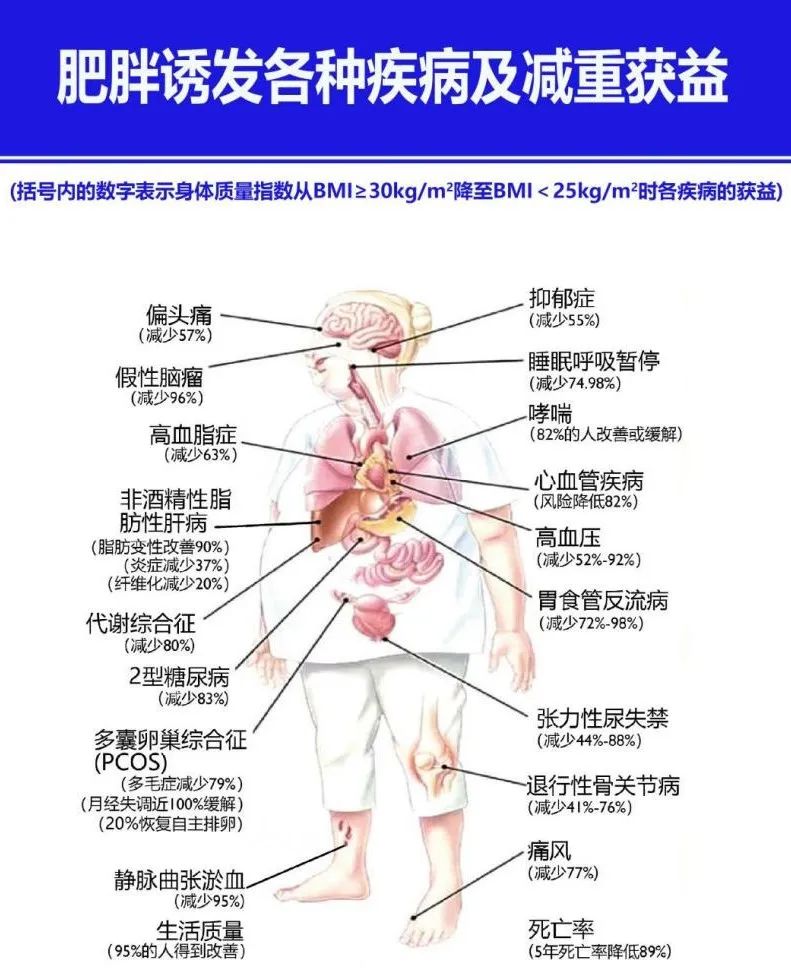 痛风可以吃锌硒宝吗