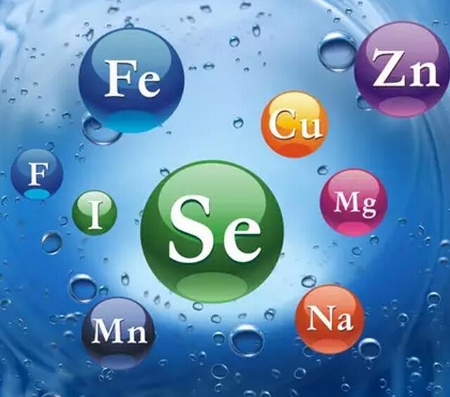 26个微量元素简称