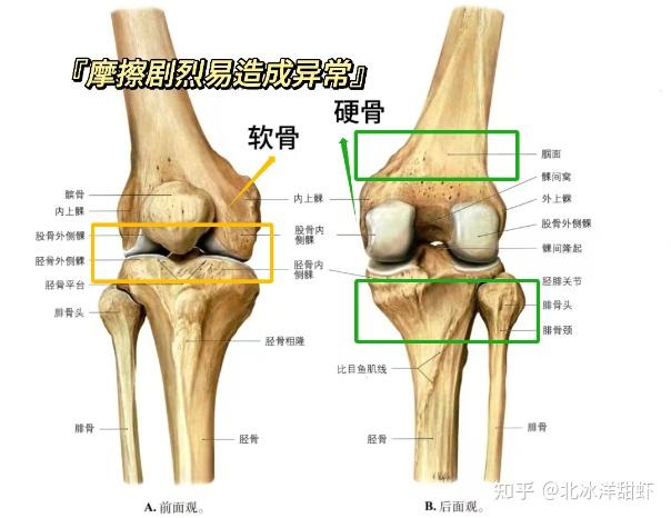 中老年人补钙哪种最好