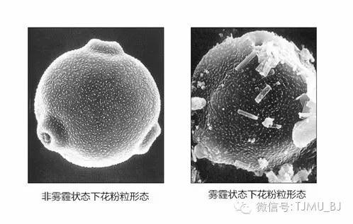 去医院查微量元素挂什么科