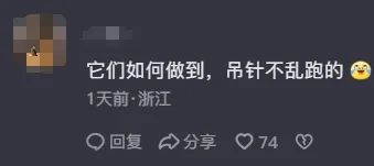 狗狗吃什么补充微量元素