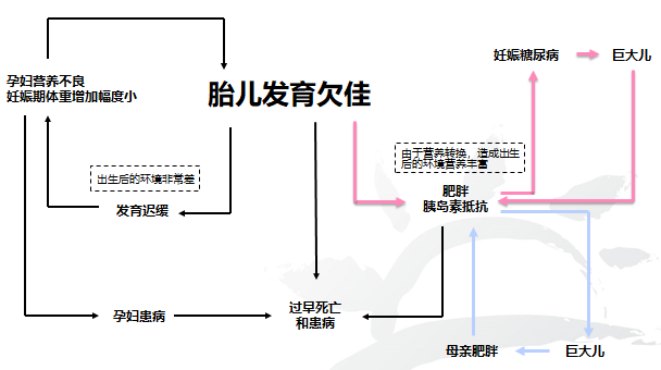 儿童缺硒缺锌吃什么补