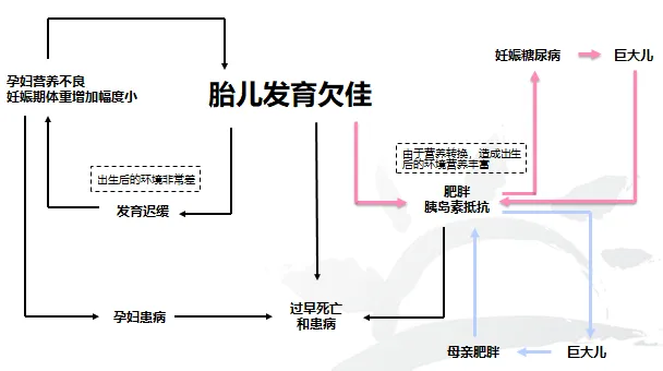 人需要补多久硒和锌呢