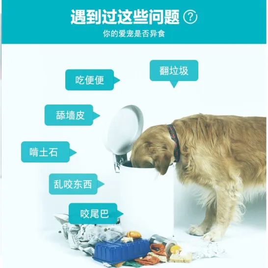 狗狗微量元素多久喂一次