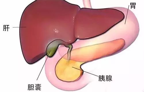 补硒对乳腺结节有用吗