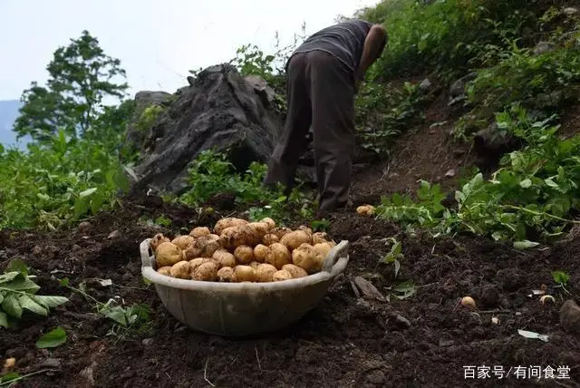 补硒鸡蛋普通人能吃吗