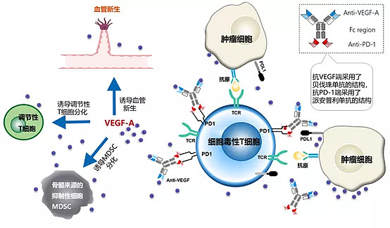 肺腺癌转移补硒可以吗