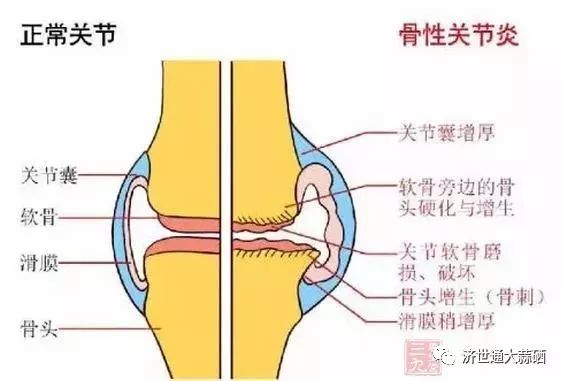 补硒后可观察的效果是