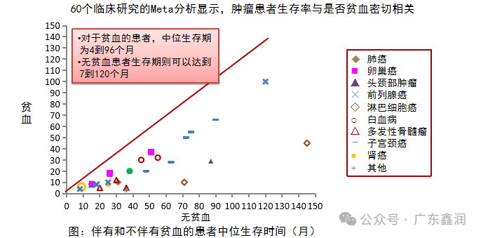 补铁的副作用