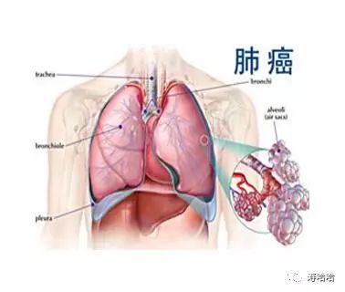 砷重度异常可以补硒吗