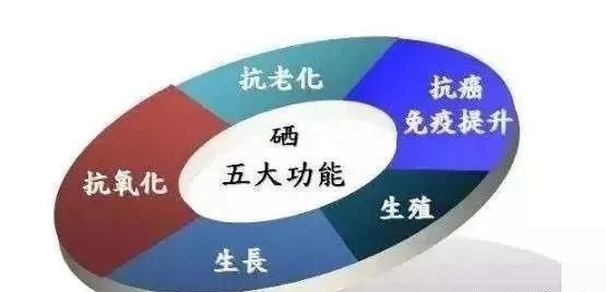 科学补硒的重点是什么