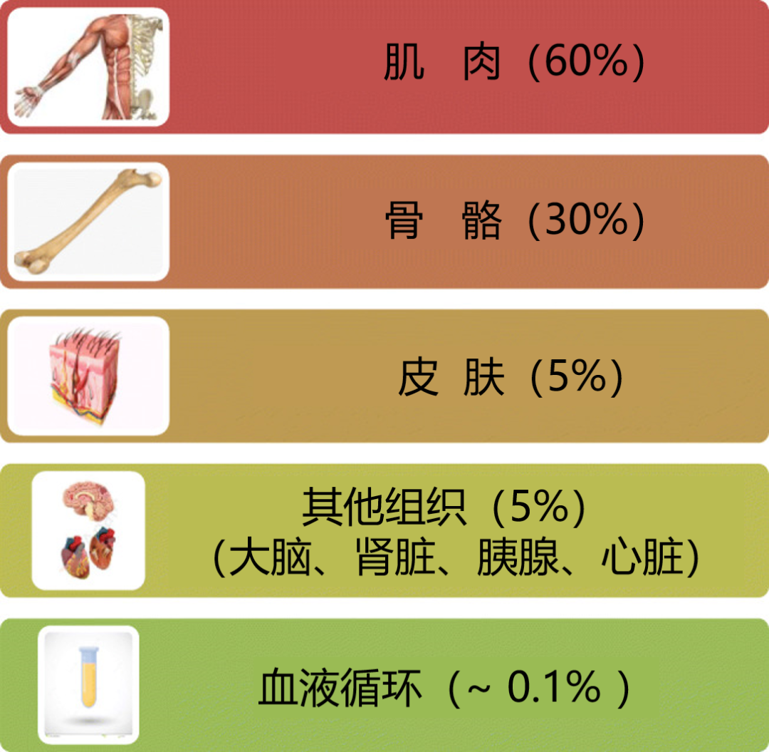 微量元素锌