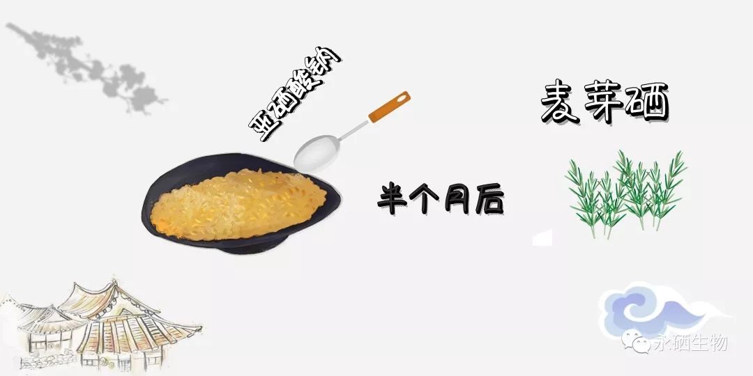 羊补硒和钠用什么食物