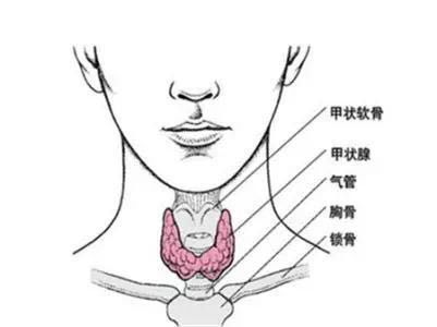 新生儿补硒的正确方法