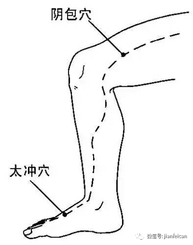 补硒同时可以吃b族吗