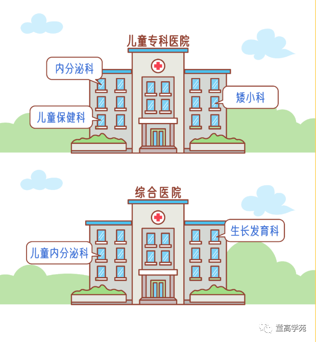 查微量元素挂什么科