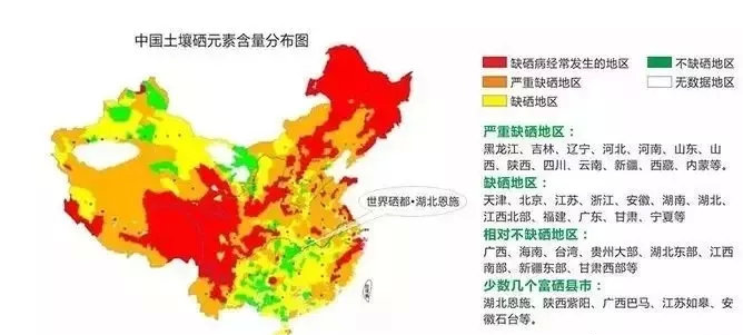 补硒国际品牌有哪些呢