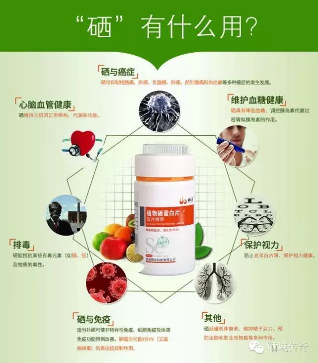 补硒能同时吃蛋白粉吗