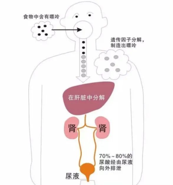 甲亢要补硒和维生素b