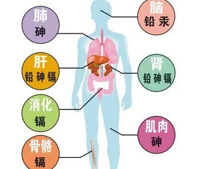 甲亢要补硒和维生素b