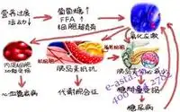 糖尿病吃什么补硒快呢