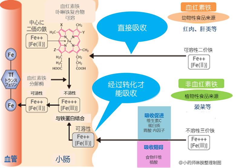 吃补铁药有什么副作用