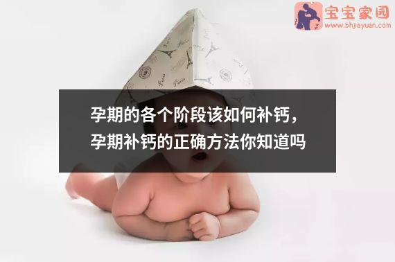 孕期的各个阶段该如何补钙，孕期补钙的正确方法你知道吗