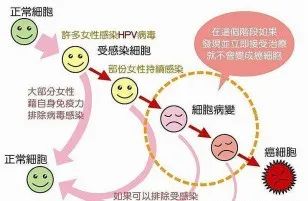 晚期宫颈癌能补硒吗吗