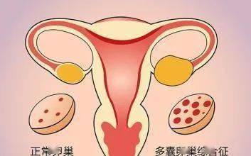 内分泌紊乱补硒可以吗