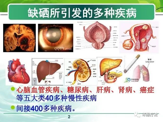 补硒用查肝功能吗男性