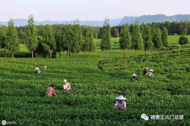 甲状腺肿大可以补硒嘛