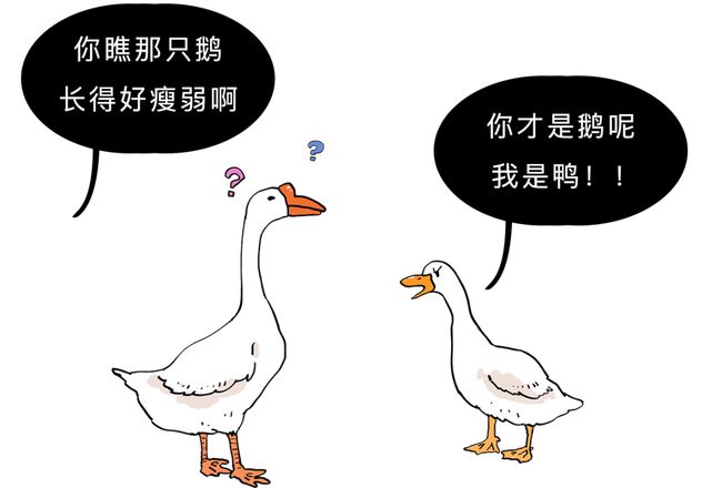 小鸡补硒一只喂多少钱