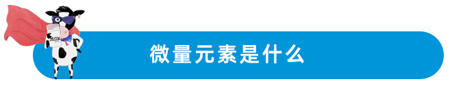 查微量元素用空腹吗