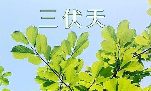 冬病夏治要不要补硒呢